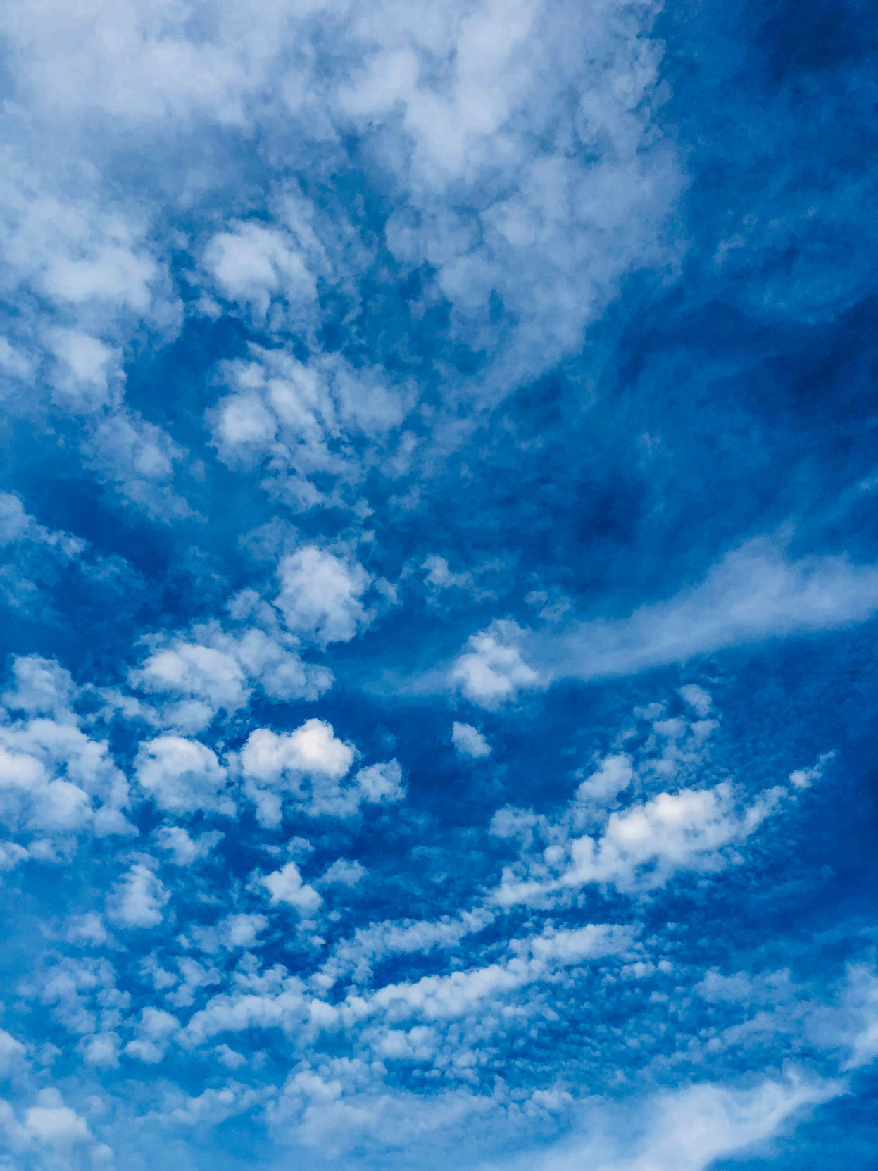 m19 backyard fun clouds.jpg